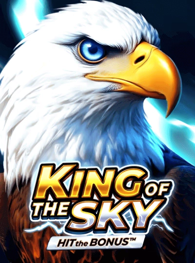 w99p w99p